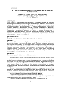 Исследование кристаллического бета-каротина из моркови на токсичность