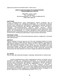 Некроз надпочечников при колибактериозе у новорождённых поросят