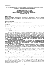 Качественные характеристики новых линий терминальных хряков в условиях промышленного комплекса