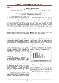 Заболевания озимой пшеницы в Московской области