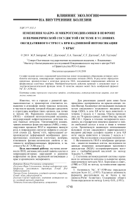 Изменения макро- и микрогемодинамики в нефроне и периферической сосудистой системе в условиях оксидативного стресса при кадмиевой интоксикации у крыс