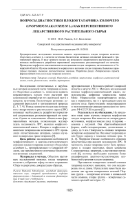 Вопросы диагностики плодов татарника колючего (Onopordum akanthium L.) как перспективного лекарственного растительного сырья