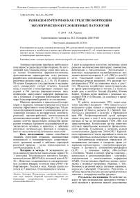 Эхинацея пурпурная как средство коррекции экологически обусловленных патологий