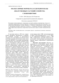 Молекулярные формы малатдегидрогеназы лекарственных растений семейства сложноцветные