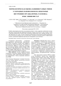 Морфологическая оценка влияния разных типов углеродных нановолокон на некоторые внутренние органы (почки, селезенка) крыс линии Вистар