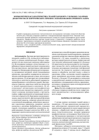 Морфологическая характеристика тканей пародонта у больных сахарным диабетом после хирургического лечения с использованием эрбиевого лазера