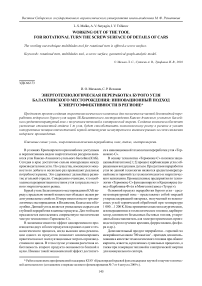 Энерготехнологическая переработка бурого угля Балахтинского месторождения: инновационный подход к энергоэффективности в регионе