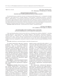 Фитокоррекция хронического токсического повреждения печени БАД "Байкальский-7"