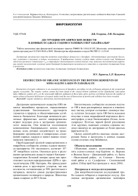 Деструкция органических веществ в донных осадках содово-соленых озер Забайкалья