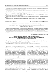 Влияние малоновой кислоты на качество мяса и активность сукцинатдегидрогеназы у цыплят-бройлеров при темновом стрессе