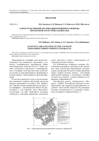 О пространственной организации почвенного покрова мерзлотной лесостепи Забайкалья