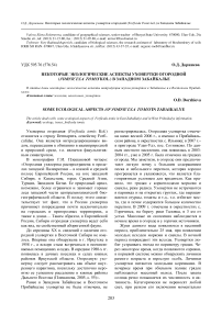 Некоторые экологические аспекты уховертки огородной (Forficula tomis Kol.) в Западном Забайкалье