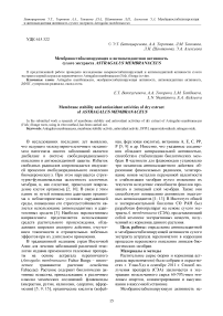 Мембраностабилизирующая и антиоксидантная активность сухого экстракта Astragalus membranaceus