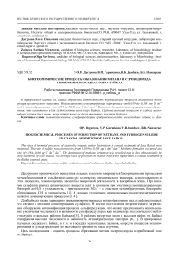 Биогеохимические процессы образования метана и сероводорода в прибрежных осадках озера Байкал