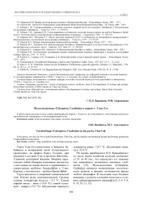 Жуки-жужелицы ( Coleoptera, Carabidae) в парках г. Улан-Удэ