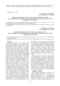 Паразитизм европейского лесного клеща Ixodes ricinus (Linnaeus, 1758) (Acari, Parasitiformes: Ixodidae) на ящерице Браунера, Darevskia brauneri (Mehely, 1909) (Reptilia, Sauria: Lacertidae)