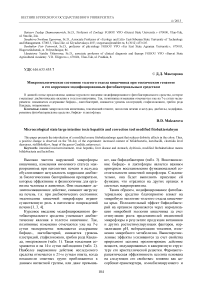 Микроэкологическое состояние толстого отдела кишечника при токсическом гепатите и его коррекция модифицированным фитобактериальным средством