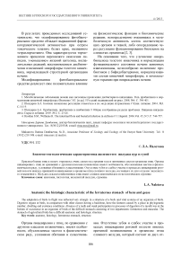 Анатомо-гистологическая характеристика железистого желудка кур и гусей