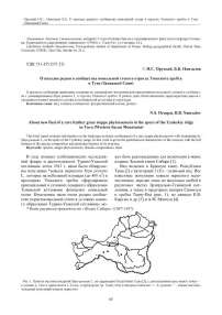 О находке редкого сообщества ковыльной степи в отрогах Уюкского хребта в Туве (Западный Саян)