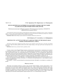 Протеолитическая активность бактерий соленых озер пустыни Бадаин Жаран (Внутрення Монголия, Китай)