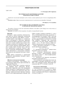 Численность органотрофных бактерий в притоках реки Селенги