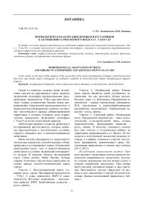 Морфологическая адаптация деревьев и кустарников к загрязнению атмосферного воздуха г. Улан-Удэ