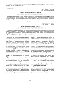 Нейрофармакологические эффекты Phlojodicarpus sibiricus (Steph. ex Spreng.) K.-Pol