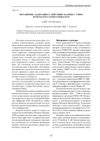 Механизмы адаптации к действию кадмия у гриба Penicillium lanoso-coeraleum
