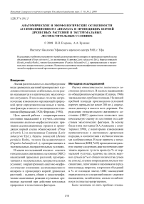 Анатомические и морфологические особенности ассимиляционного аппарата и проводящих корней древесных растений в экстремальных лесорастительных условиях