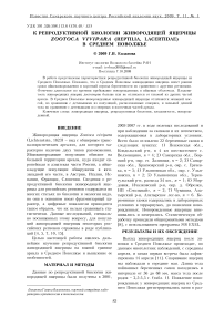 К репродуктивной биологии живородящей ящерицы Zootoca vivipara (Reptilia, Lacertidae) в Среднем Поволжье