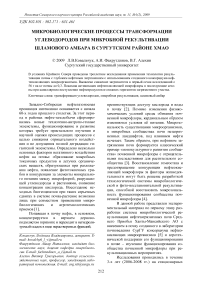 Микробиологические процессы трансформации углеводородов при микробной рекультивации шламового амбара в Сургутском районе ХМАО