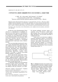 Структура популяций Pinus sylvestris L. в Якутии