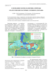 К познанию флоры памятника природы «Малоусинские нагорные сосняки и дубравы»