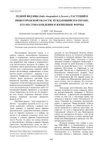 Редкий вид ивы (Salix vinogradovii A. scvorts.), растущий в Нижегородской области, нуждающийся в охране, его местонахождения и жизненные формы