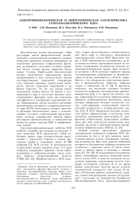 Электрофизиологическая и нейрохимическая характеристика супрахиазматического ядра