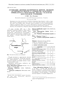 Ассоциации Artemisio-Aeluropodetum repentis, Frankenio-Aeluropodetum repentis и сообщество Halocnemum strobilacetum в окрестностях поселка Гасан-Кули (Юго-Западная Туркмения)
