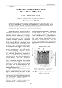 Стохастическая модель окисления металлов в газовой среде