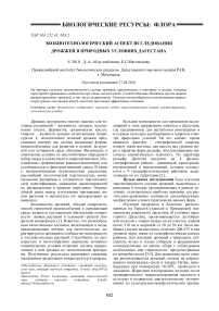 Экобиотехнологический аспект исследования дрожжей в природных условиях Дагестана
