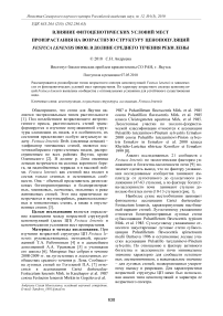 Влияние фитоценотических условий мест произрастания на возрастную структуру ценопопуляций Festuca lenensis Drob. в долине среднего течения реки Лены