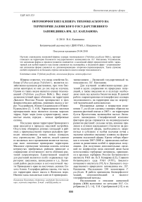 Онтоморфогенез клевера тихоокеаского на территории Лазовского государственного заповедника им. Л. Г. Капланова