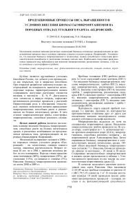 Продукционные процессы овса, выращенного в условиях внесения биомассы микроорганизмов на породных отвалах угольного разреза «Кедровский»