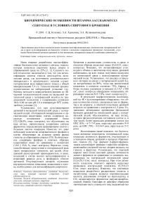 Биохимические особенности штамма Saccharomyces cerevisiae в условиях спиртового брожения