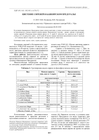 Цветение сиреней в Башкирском Предуралье