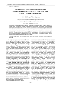 Онтогенез, структура и самоподдержание ценопопуляций Thymus talijevii Klok. et Schost. (Lamiaceae) на Южном Тимане