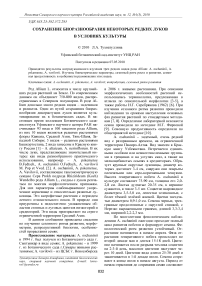 Сохранение биоразнообразия некоторых редких луков в условиях культуры