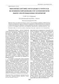 Многоножка-костянка Monotarsobius curtipes как неспецифический биоиндикатор загрязнения почв выбросами промышленных предприятий