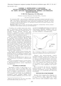 Данные о морфологии и биологии ротана-головешки Perccottus glenii Dybowski, 1877 из озера Круглое Мордовинской поймы Саратовского водохранилища