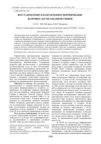 Восстановление и направленное формирование кедровых лесов Западной Сибири