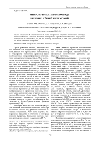 Микронутриенты в винограде кишмиш чёрный и кремовый