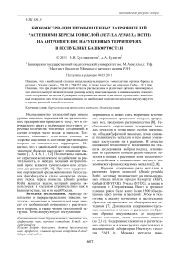 Биоконсервация промышленных загрязнителей растениями березы Повислой (Betula pendula Roth) на антропогенно нарушенных территориях в Республике Башкортостан